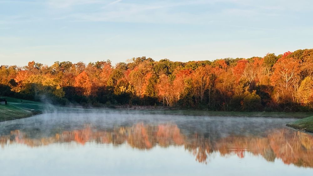 20250115080448_95174.jpeg IMG_9157.jpeg