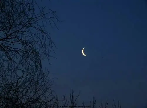 20250123055137_81848.png image (19).PNG