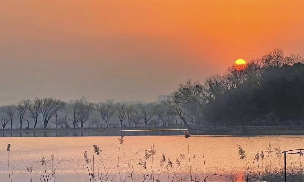 20250128093738_65237.jpg IMG_1442 (2).jpg