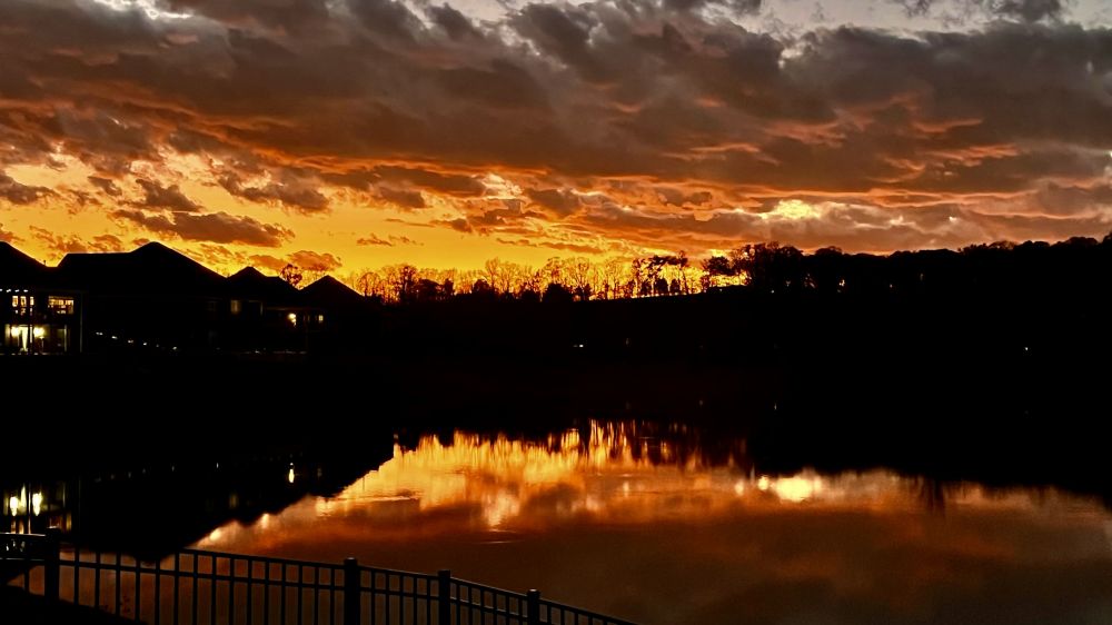 20250210091047_52589.jpeg IMG_9808.jpeg