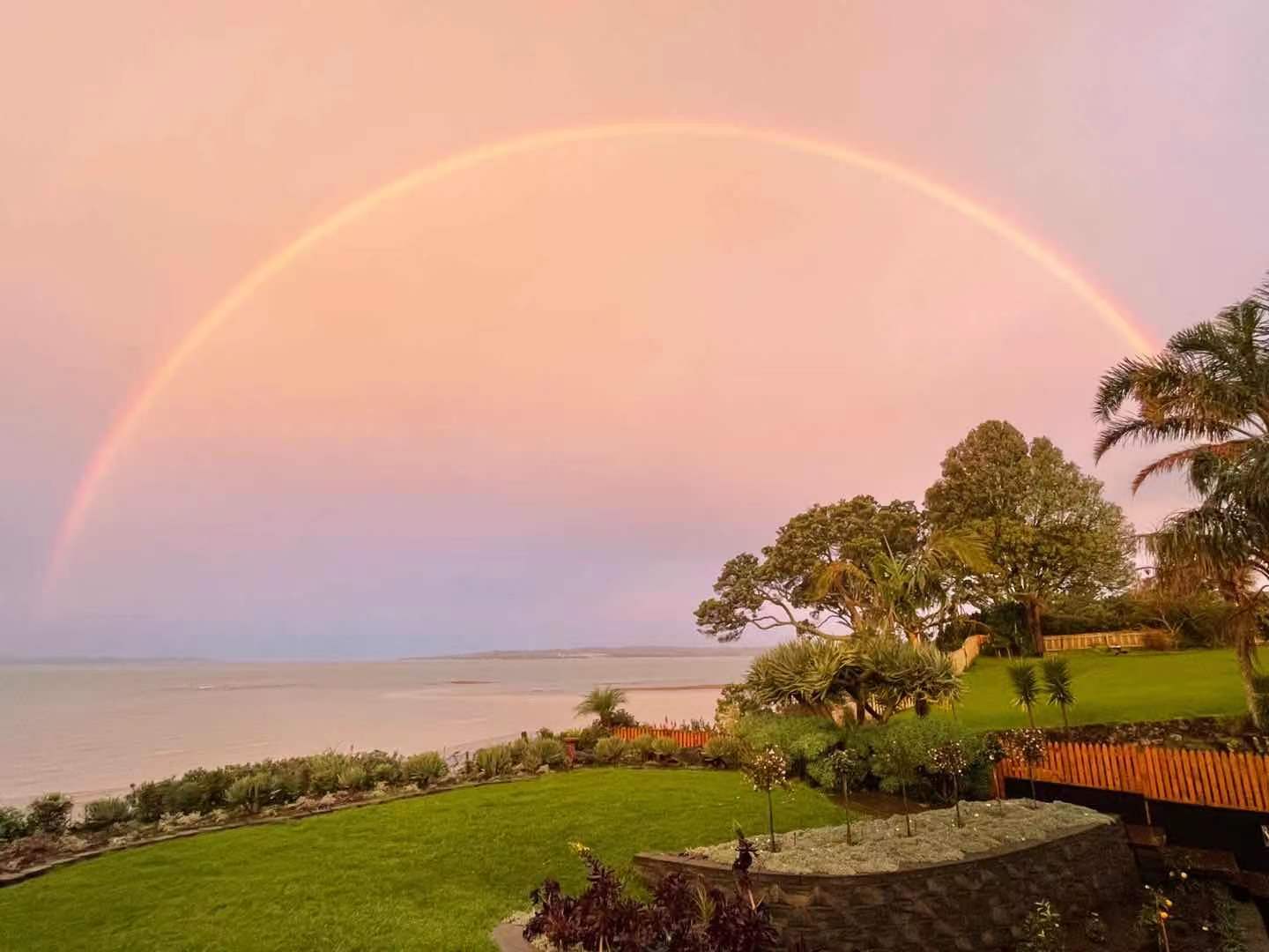 20250212043946_24010.jpg 1 小紅的後院彩霞映彩虹.jpg