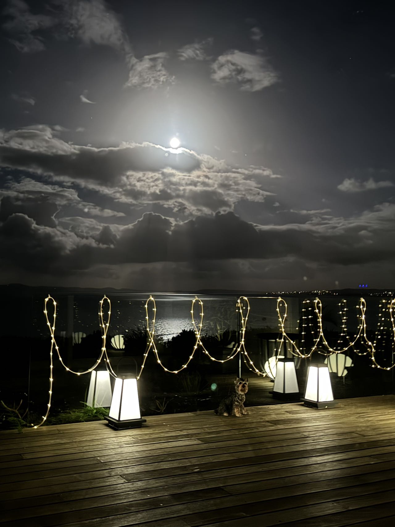 20250212043954_71653.jpg 2 天涯共此時.jpg