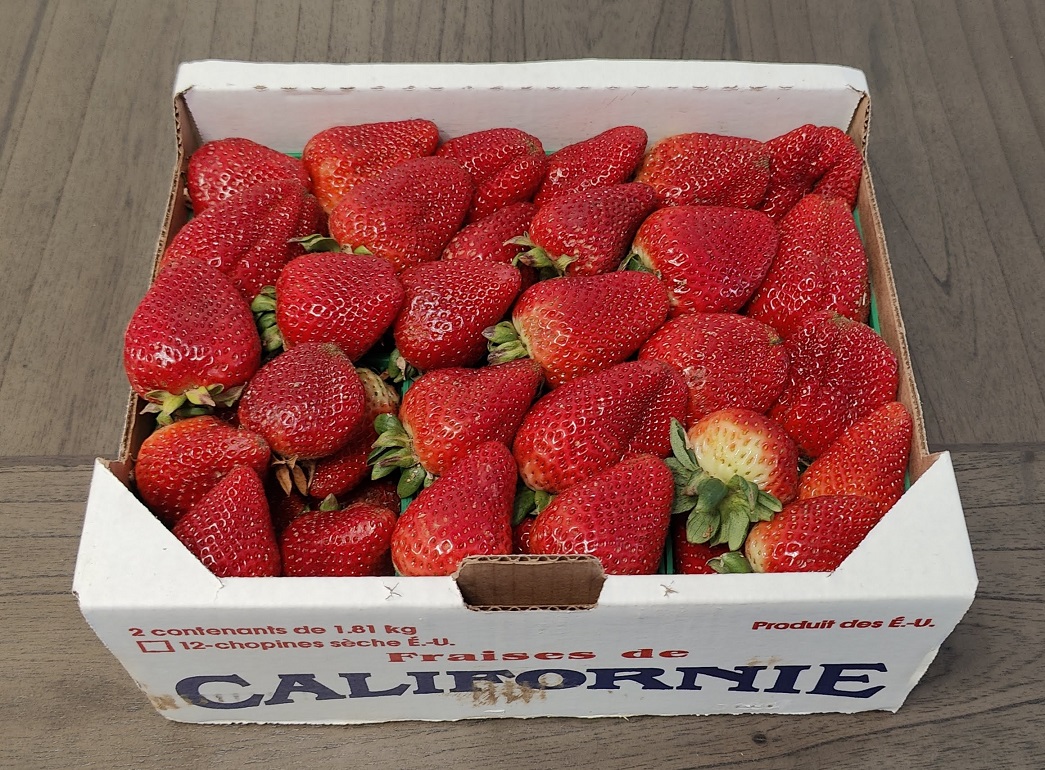 20250212044044_90969.jpg 3-27-2024 3 山姆詩門前鮮草莓18刀.jpg