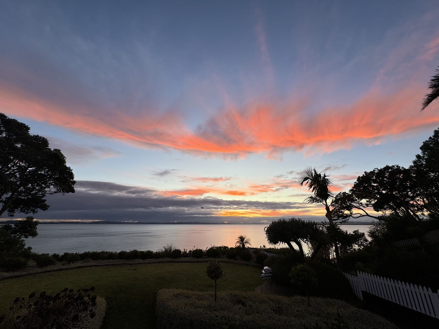 20250212044105_42853.jpg 4-2 迷人的朝霞.jpg