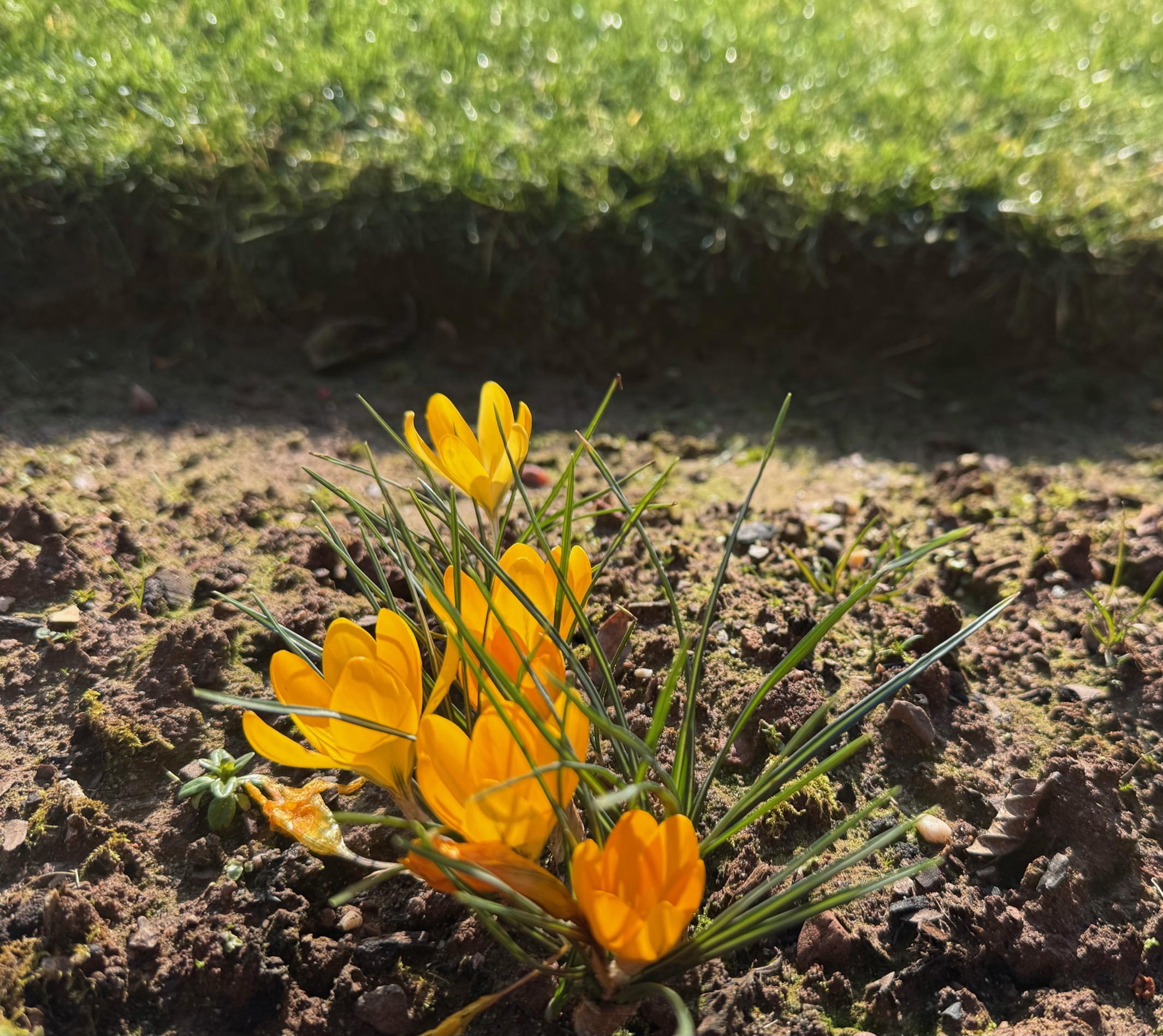 20250214030500_33146.jpg IMG_7233 (1).jpg