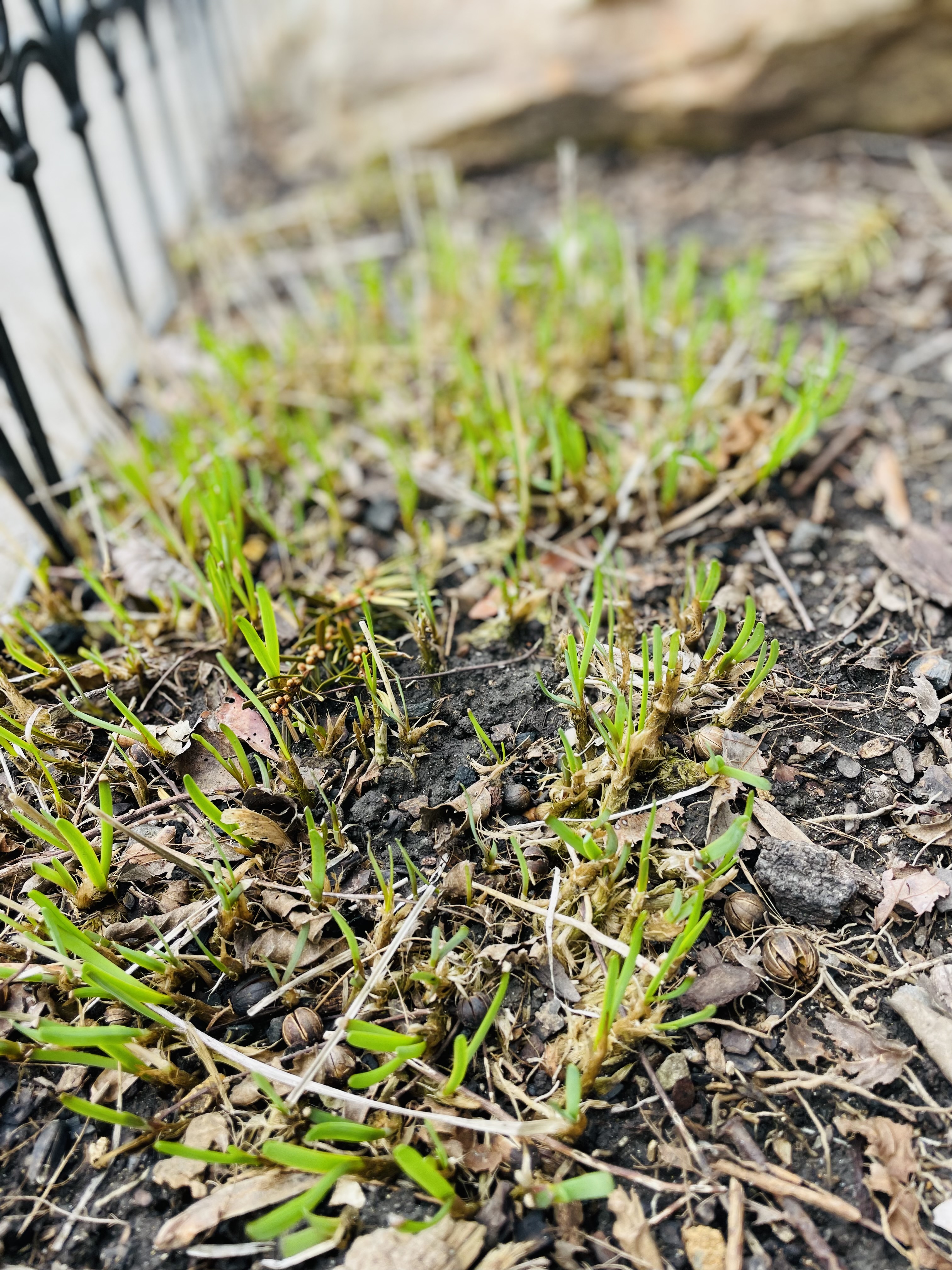 20250214090546_78227.jpeg IMG_0946.jpeg