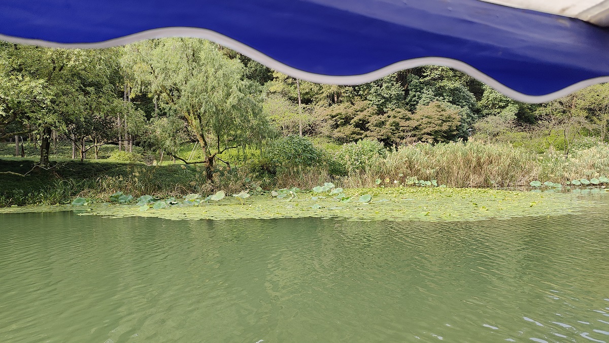 20250222043439_21602.jpg 1-6-2.jpg