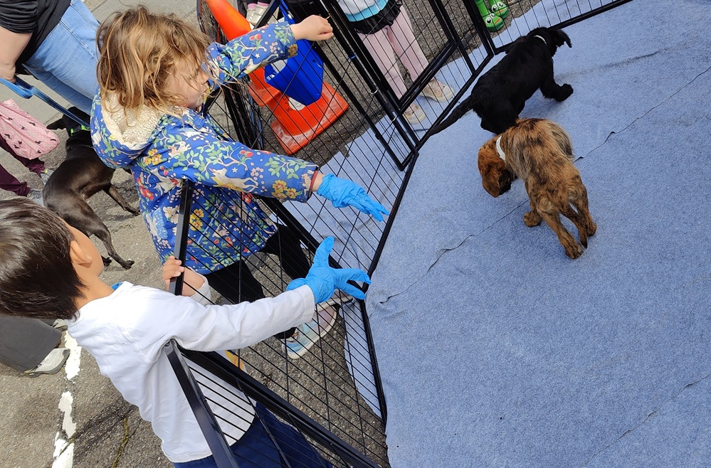 20250316060604_91800.jpg 0-3 三世也來.jpg