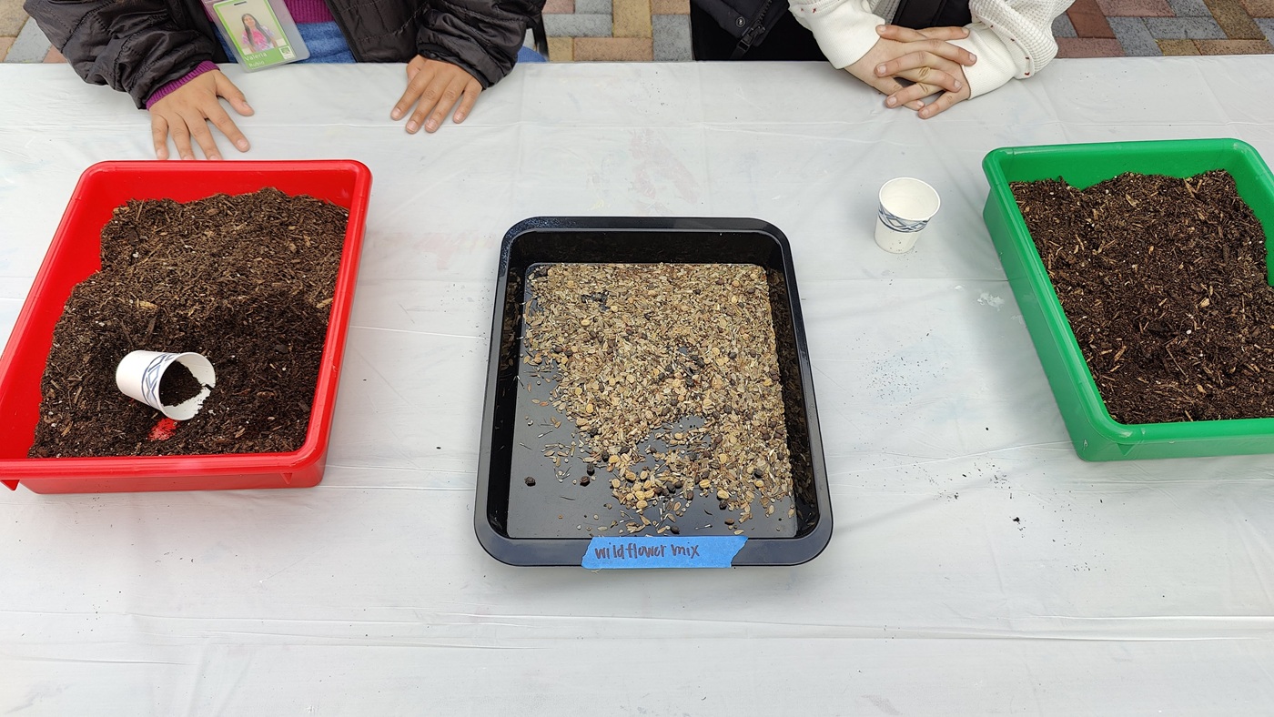 20250316060920_97135.jpg 1-9-5 花土-混合野花種子.jpg