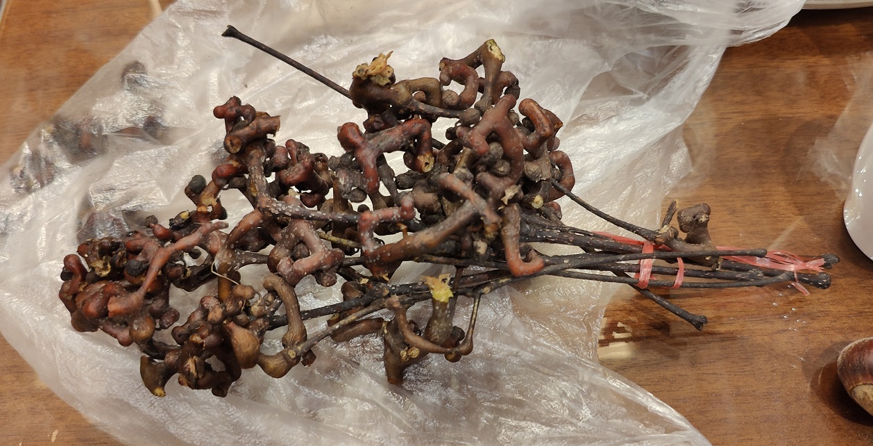 20250319055254_48959.jpg 1-1 金鈎兒-兒時的味道.jpg