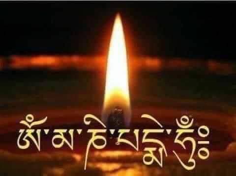 20250329150716_28754.jpg om.jpg