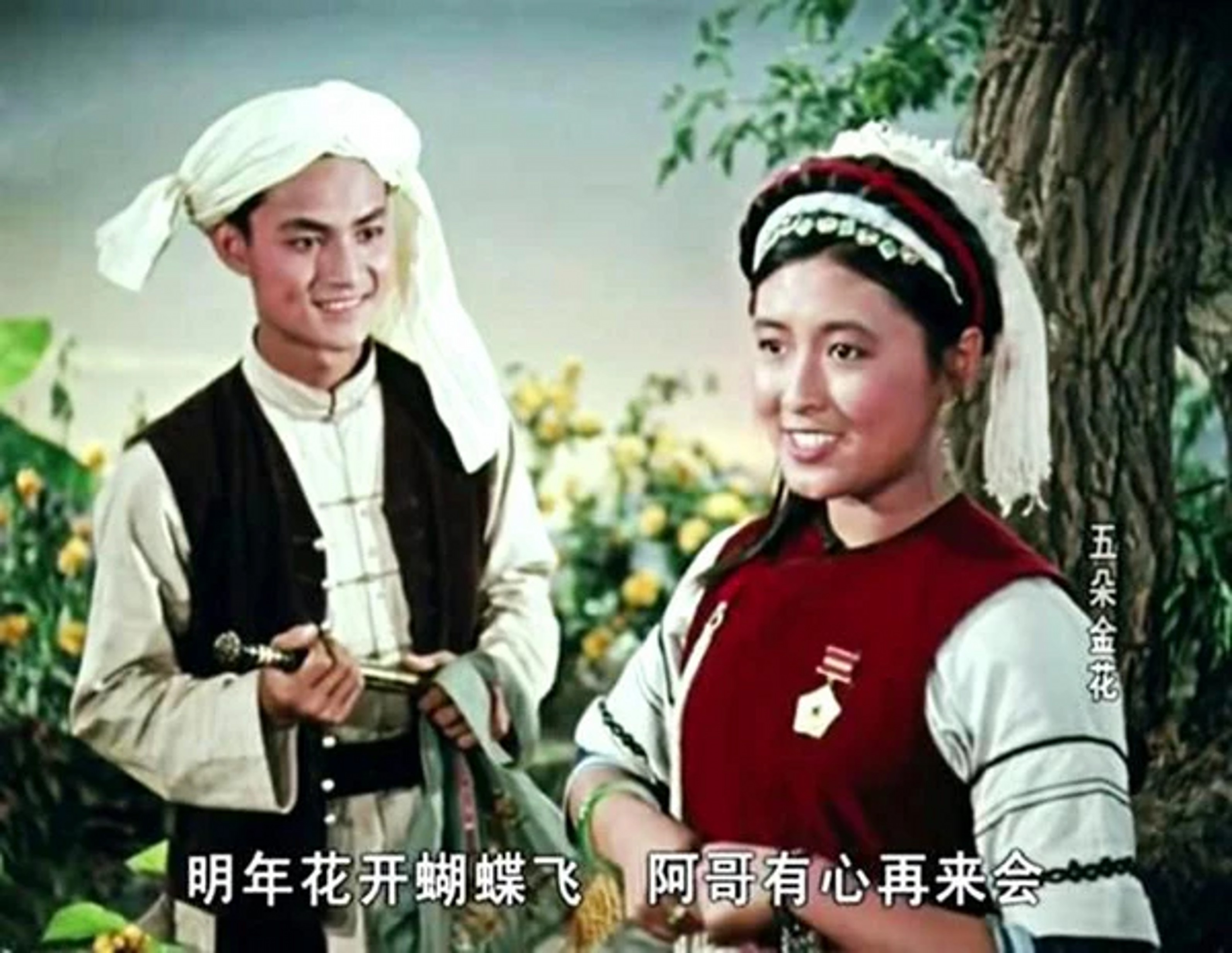 杨丽坤五朵金花1.jpg