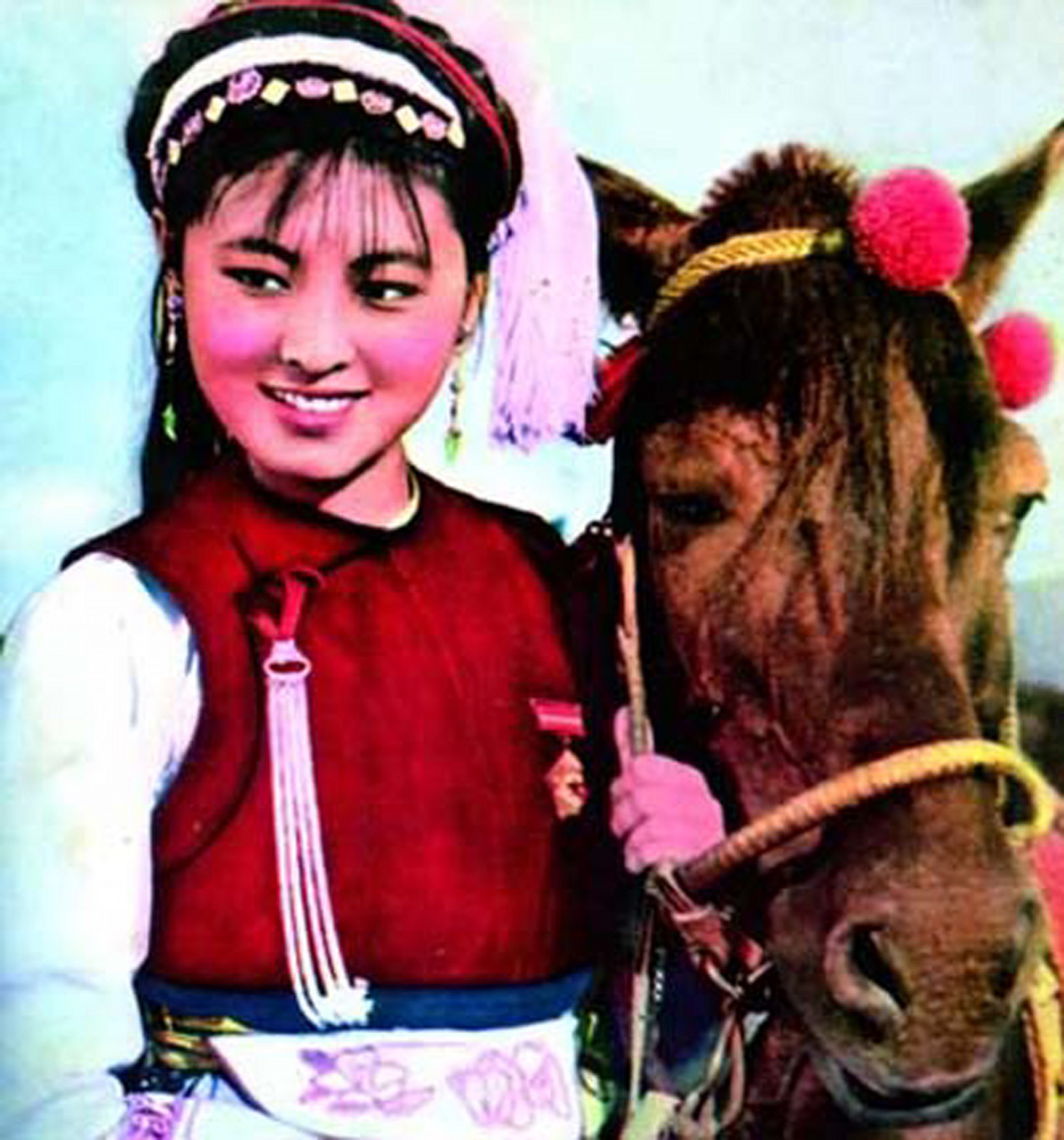 杨丽坤五朵金花2.jpg
