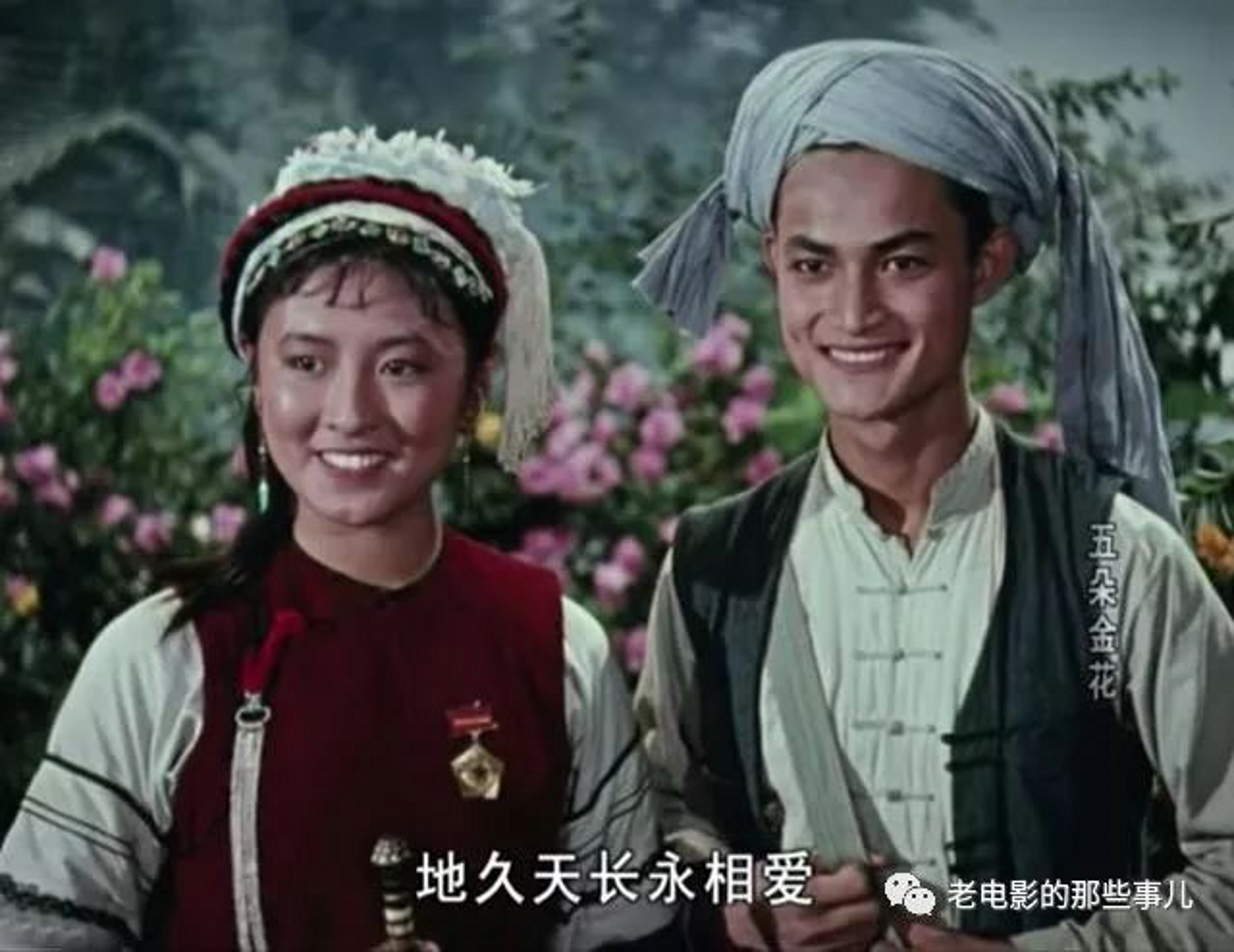 杨丽坤五朵金花.jpg