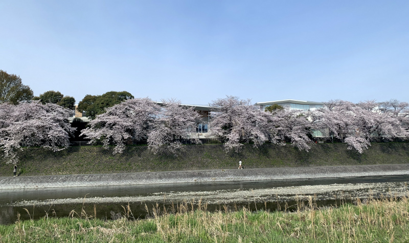 20250411040322_44736.jpg 3.jpg