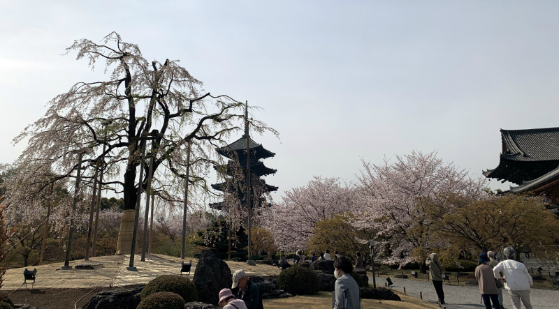 20250411040335_50240.jpg 4.jpg