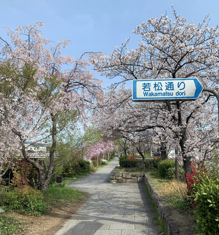 20250411040354_24916.jpg 5.jpg