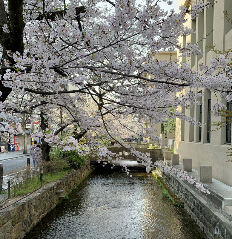 20250411040407_16337.jpg 6.jpg