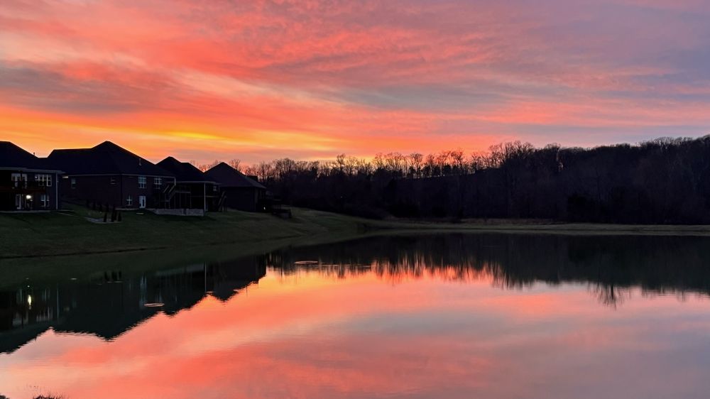 20250420075833_89679.jpeg IMG_1499.jpeg