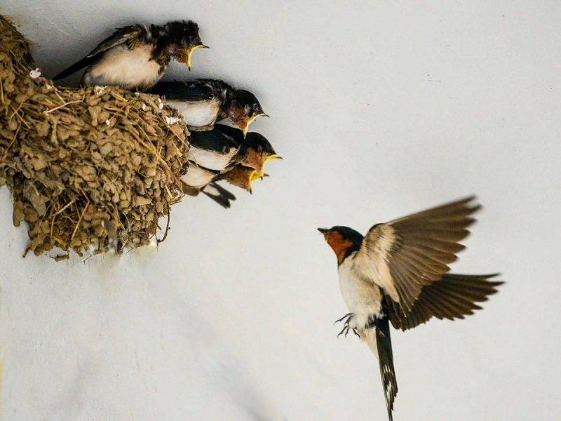 20250424054921_38655.jpg 1.jpg