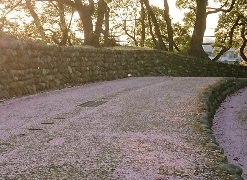 20250501042140_87698.jpg 1.jpg