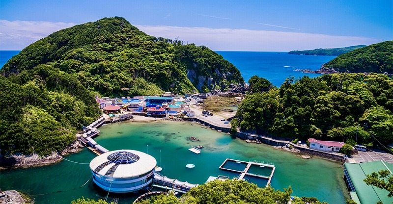 20250508034835_48514.jpg 1.jpg