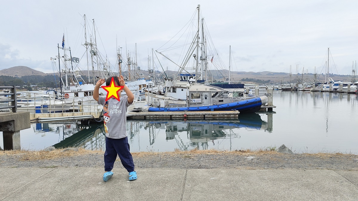 20250515035956_15677.jpg 0-4 三世秀肌肉 星星版.jpg