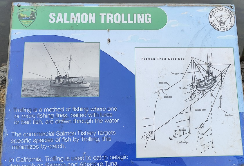 20250515040015_68259.jpg 0-6 三文魚拖釣 Salmon Trolling.jpg