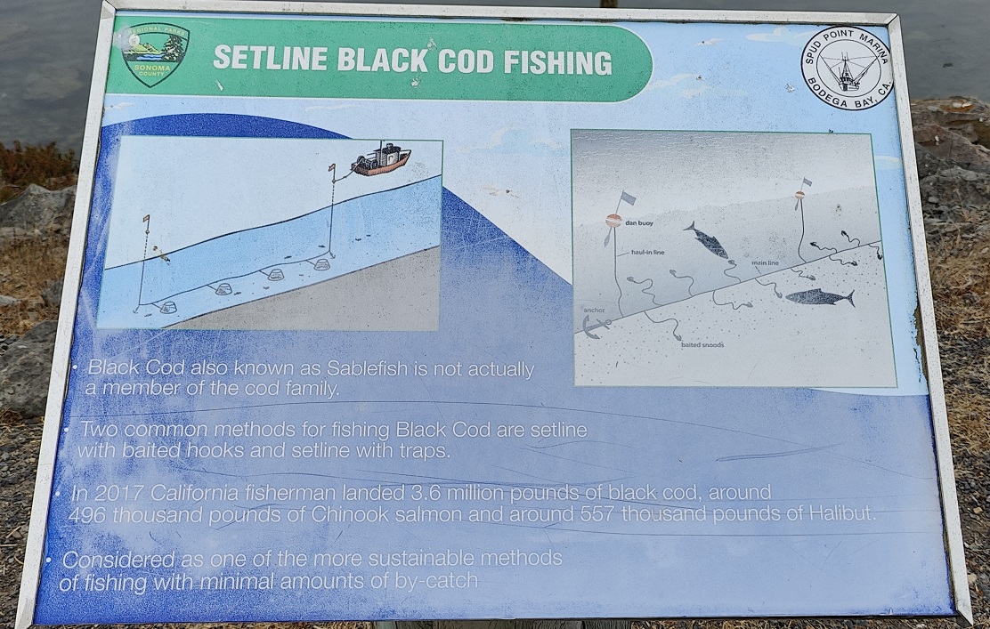 20250515040238_59284.jpg 5 定線釣黑鱈魚.jpg