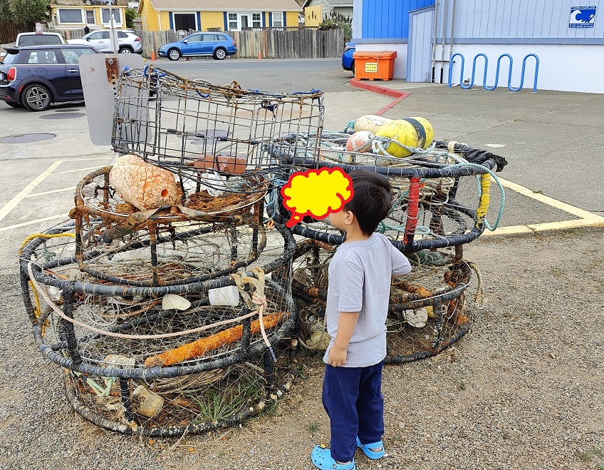 20250515040256_74922.jpg 7 這是抓螃蟹的 星星版.jpg