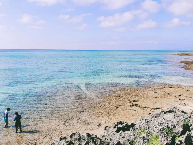 20250516054632_81961.jpg 1.jpg