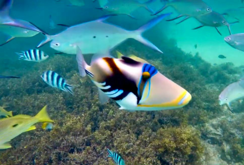 20250516054734_83723.jpg 3.jpg