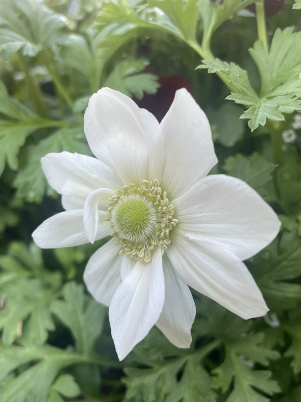 20250523034426_74977.jpg 1.jpg