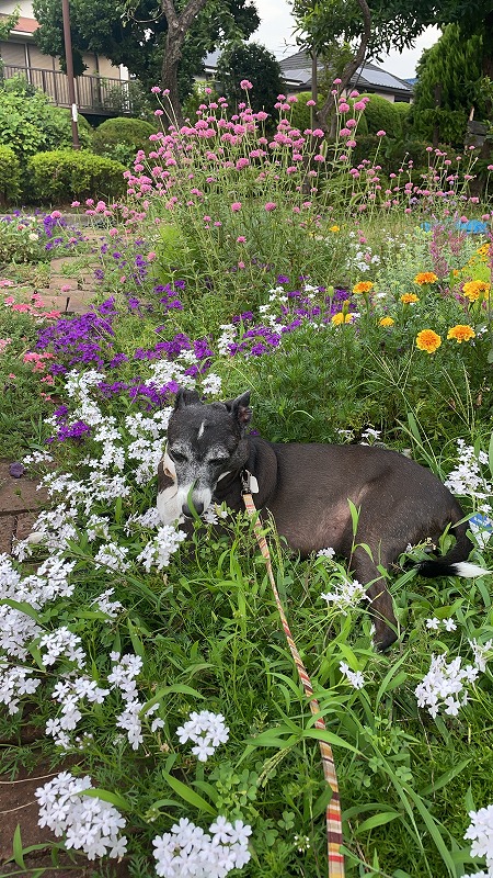 20250530071016_62402.jpg 1.jpg