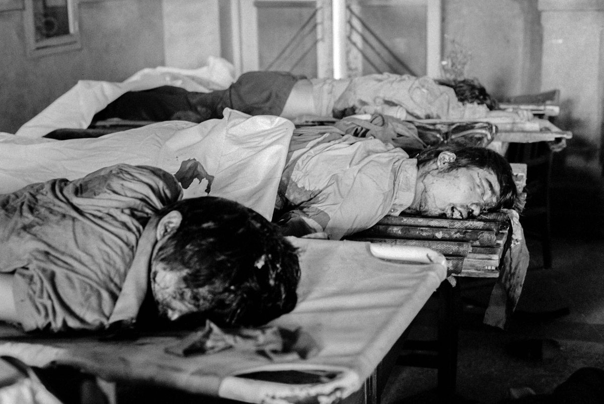 20250604044403_22237.jpeg IMG_2388.jpeg