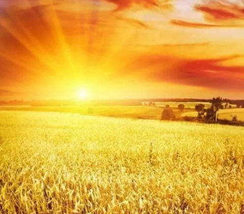 Screenshot 2025-06-12 192445.png