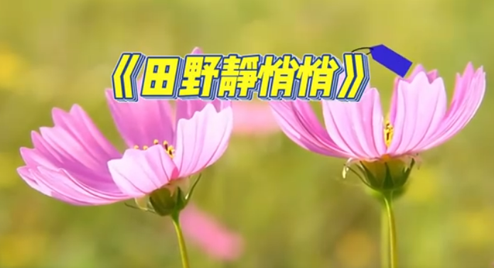 Screenshot 2025-06-12 192636.png