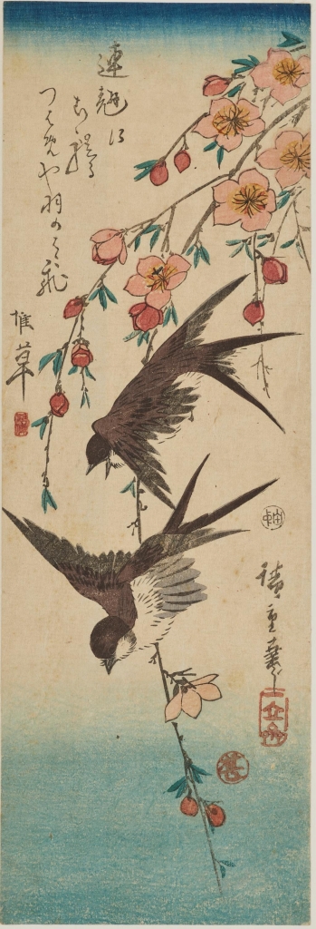 20250809054134_18752.jpg 2.jpg