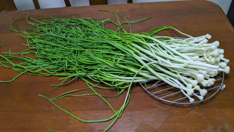 20250914045754_39904.jpg 1.jpg