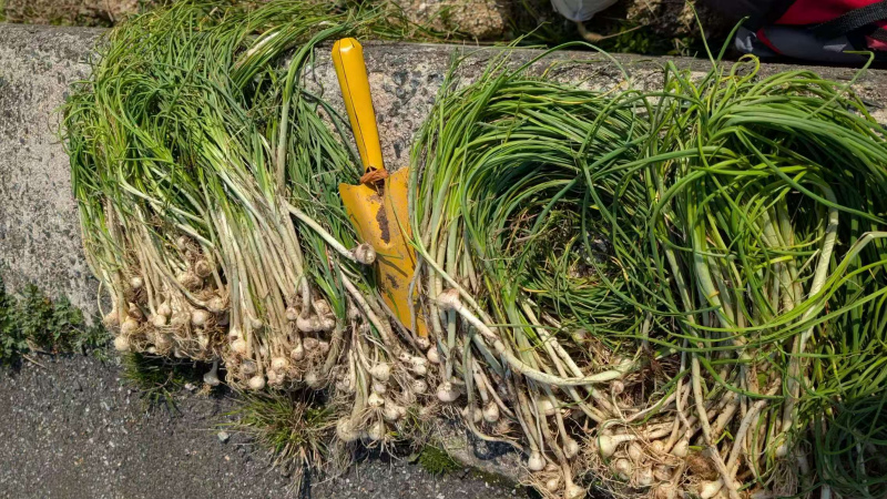 20250914045809_10282.jpg 2.jpg