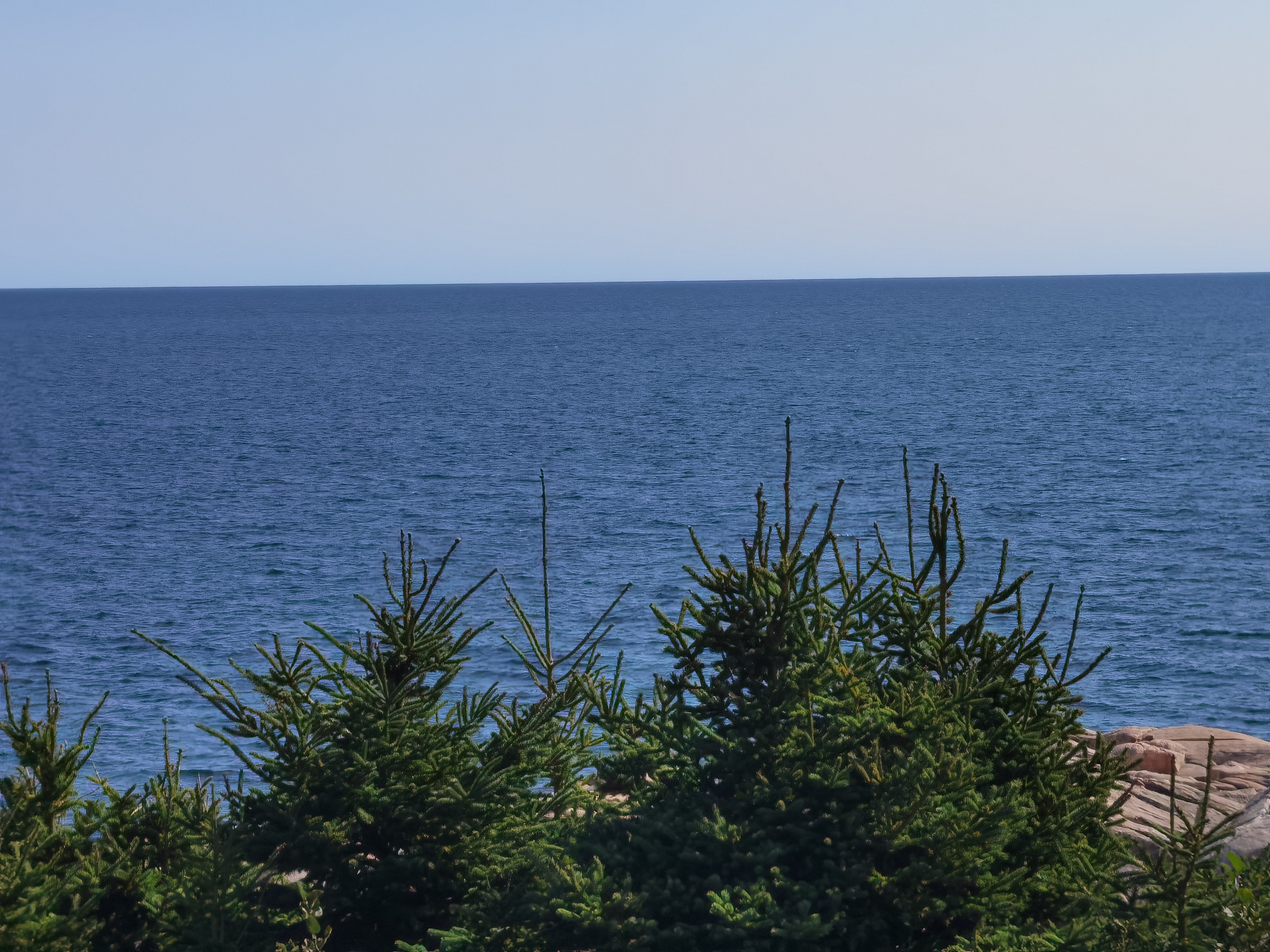 20250917090235_71260.jpg IMG_20250917_102924.jpg