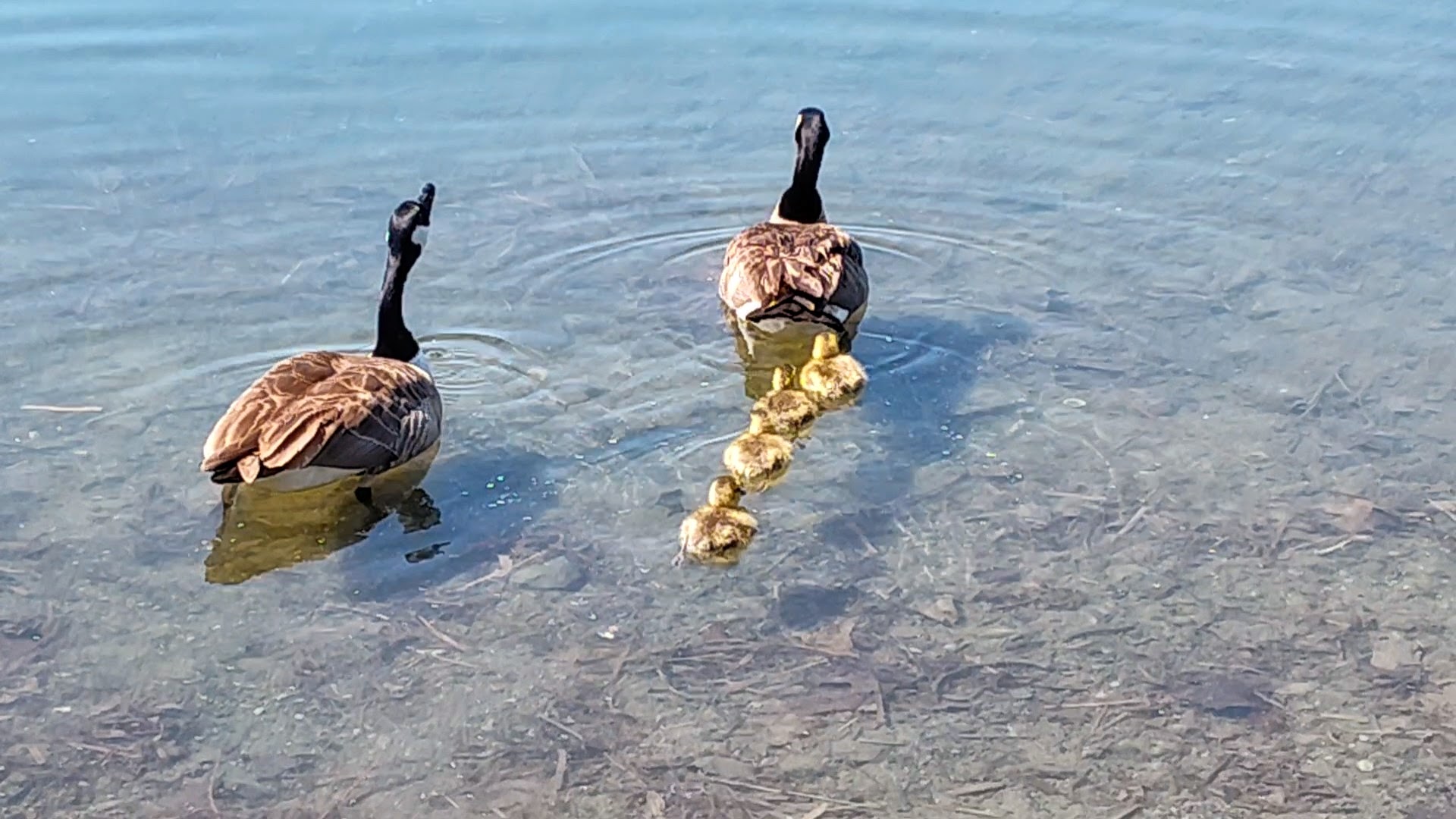 20250920185206_52930.jpg 1000019442.jpg