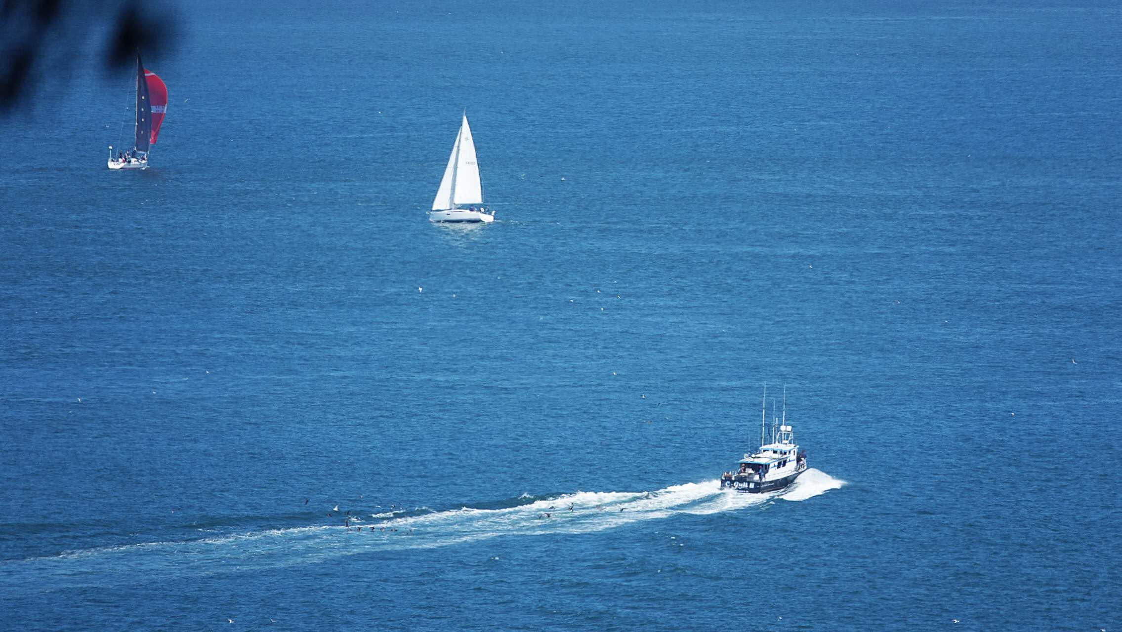 20250922111910_91984.jpg 1000019739.jpg