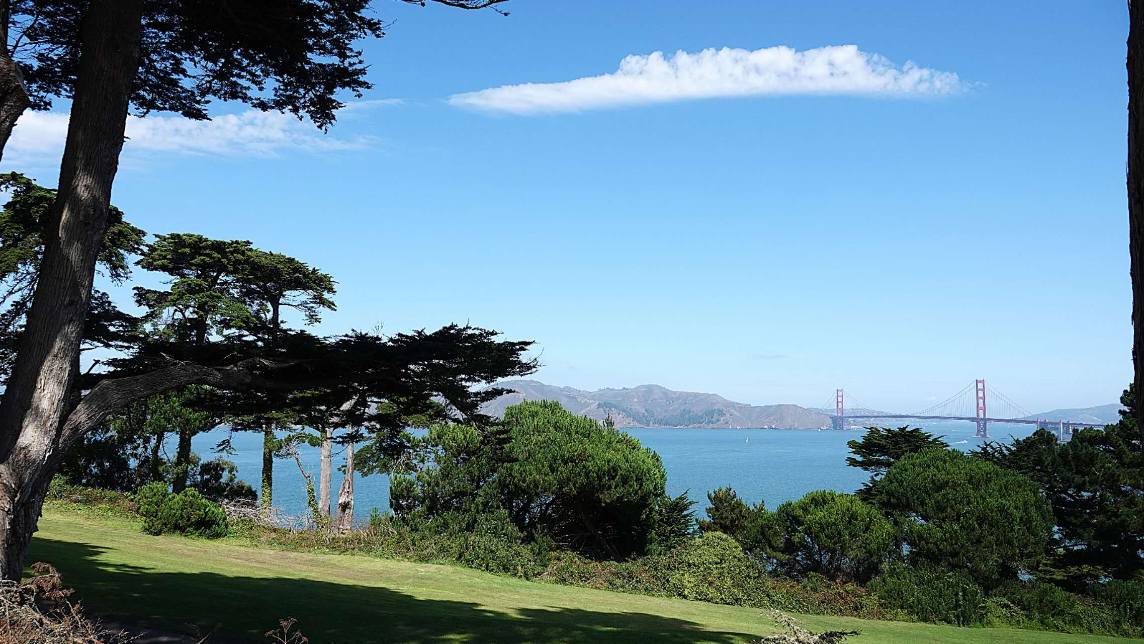 20250922112034_46897.jpg 1000019741.jpg