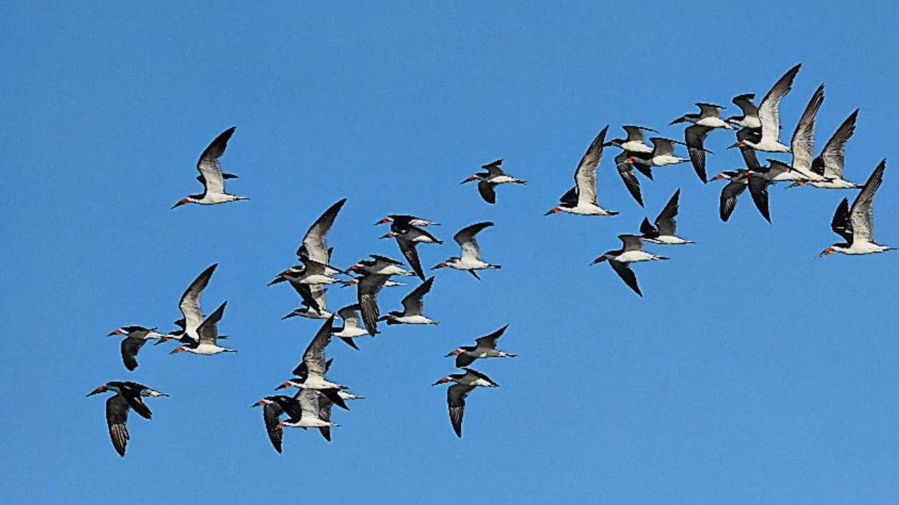 20250922112117_82348.jpg 1000019377.jpg