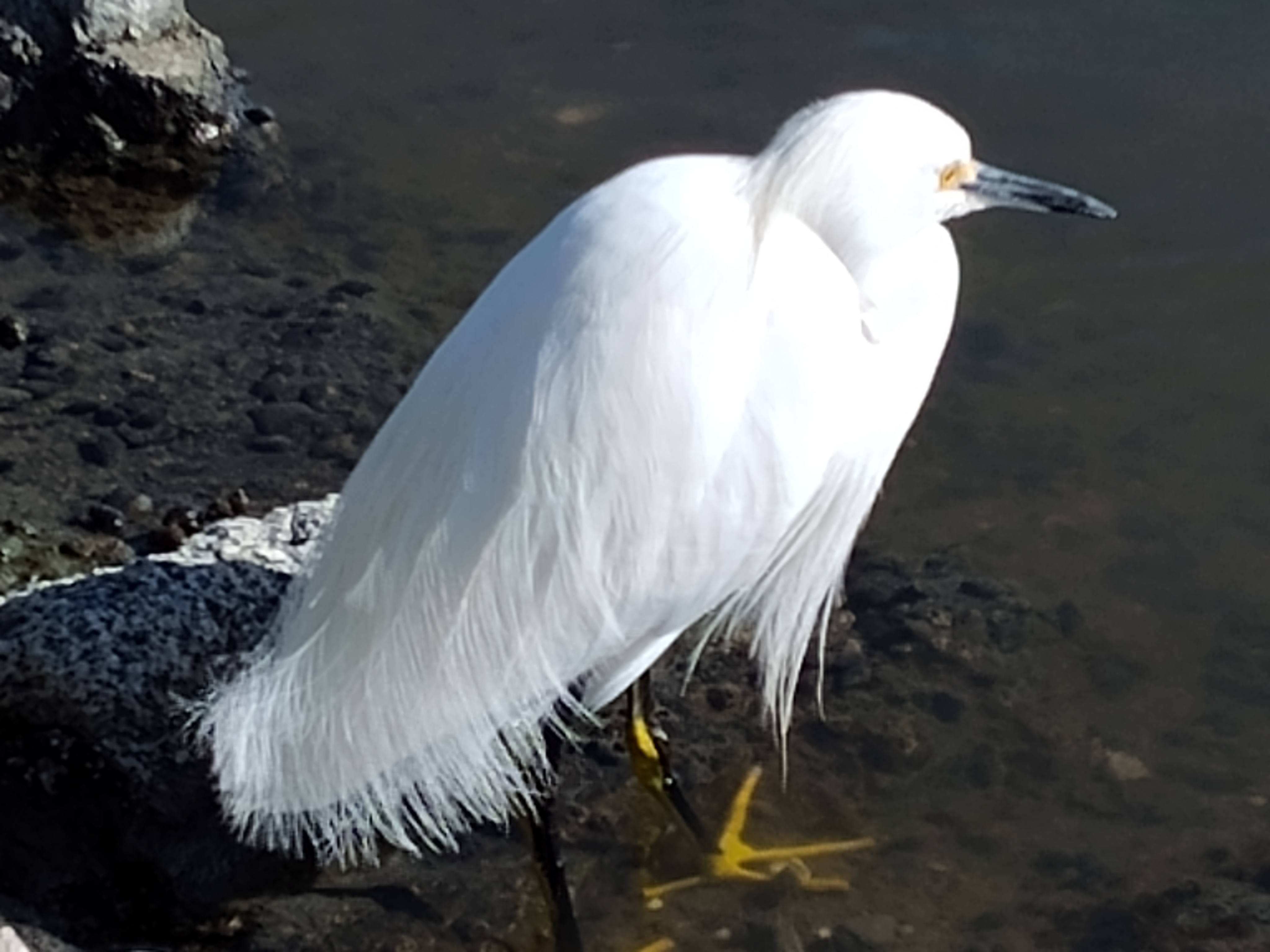 20250923223158_57851.jpg 1000019444.jpg