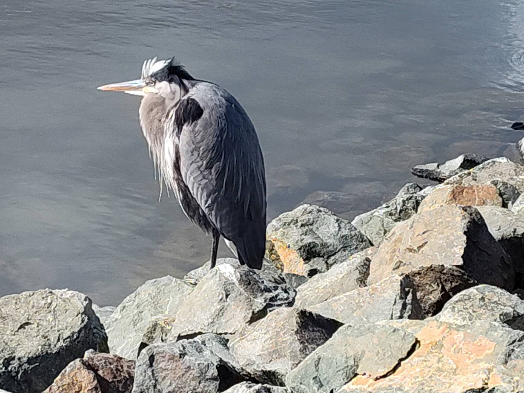 20250923224104_79256.jpg 1000019795.jpg