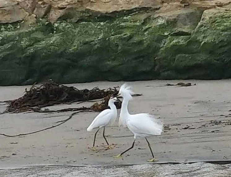 20250926093748_25066.jpg 1000019962.jpg