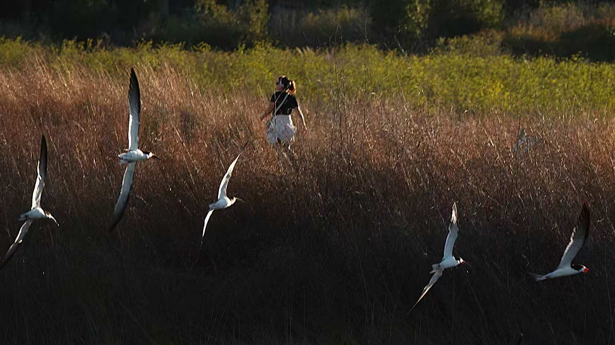 20250927153321_78687.jpg 1000019921.jpg