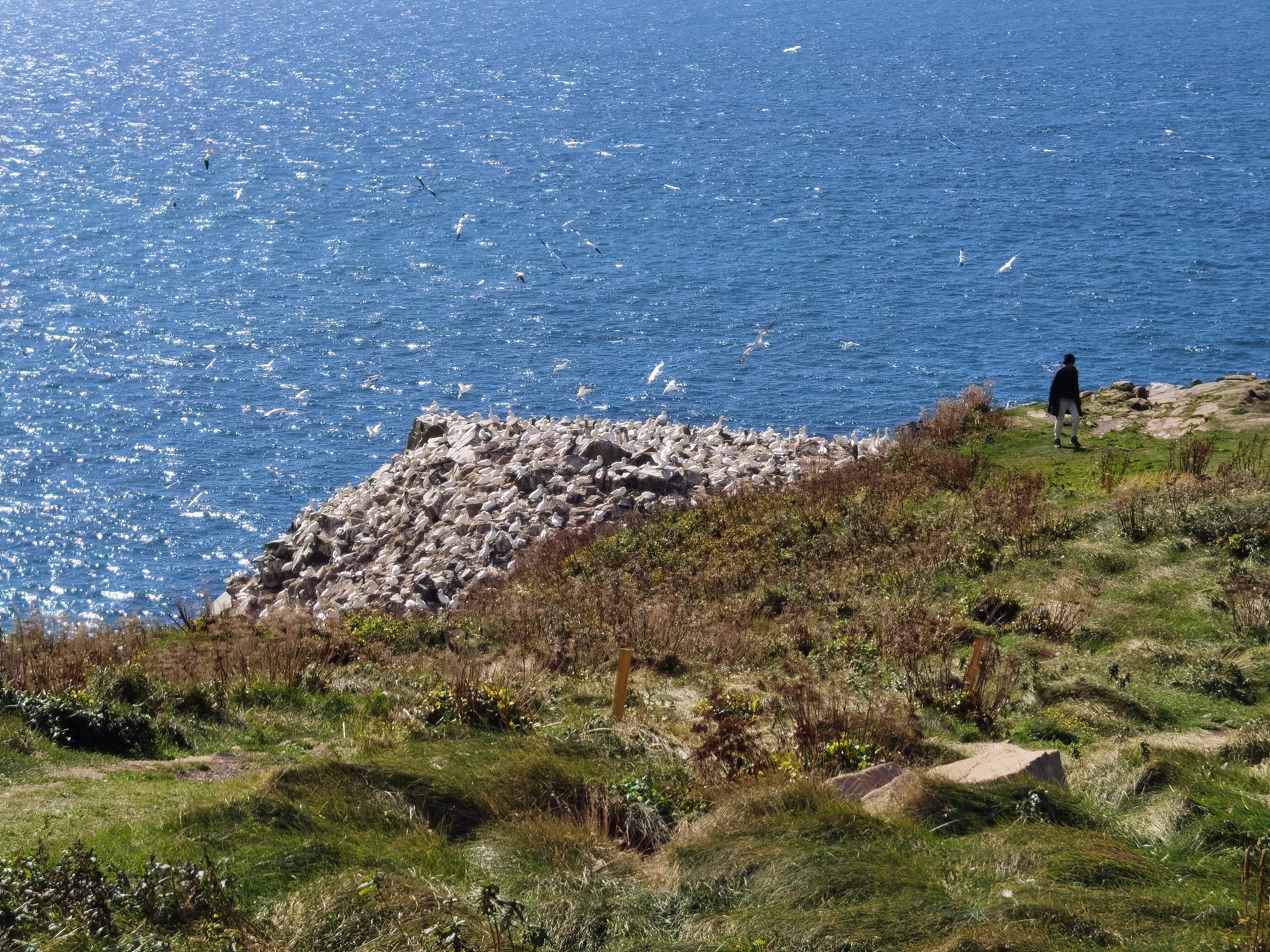 20250928054415_19552.jpg IMG_20250925_102432.jpg